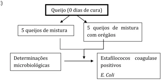 Figura 3 - Parâmetros estudados no queijo antes de entrar na câmara de maturação. 