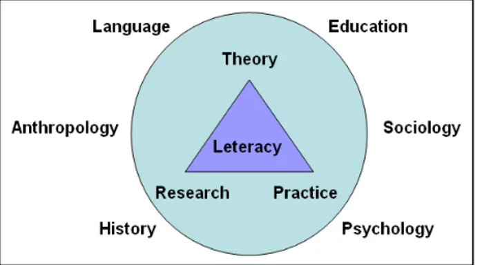 Figura 03: Parcerias nos estudos de letramento, segundo Baynham (1995) 