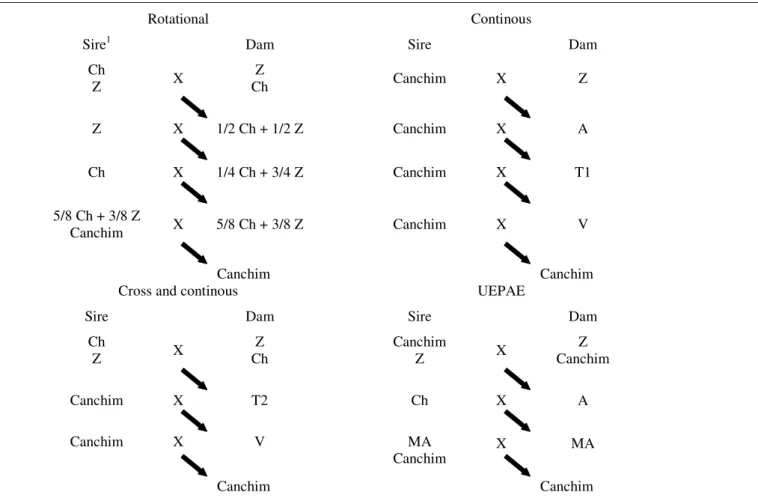 Table 1 - Mating schemes to obtain Canchim cattle