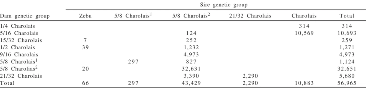 Table 2 - Number of observations of weaning weight of crossbred Charolais-Zebu calves, according to the dam and sire genetic group
