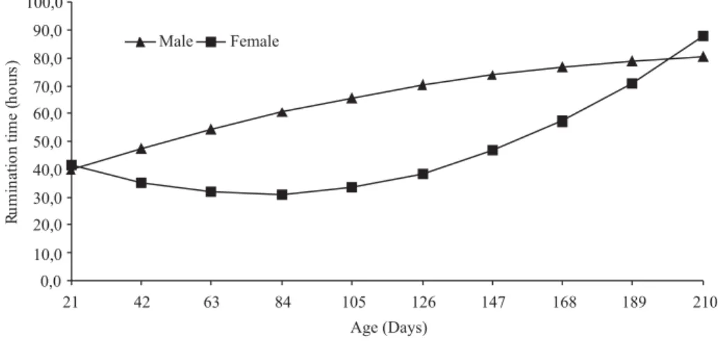 Figure 6 - Time spent on rumination by male or female calves, as adjusted for age.