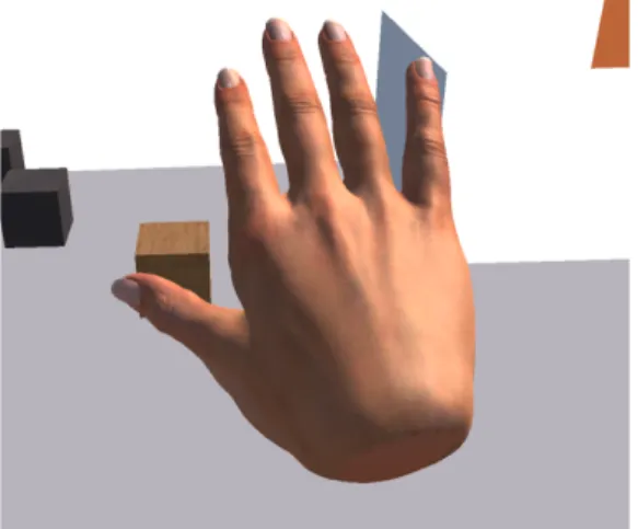 Figure 12 –  The hand model used in the VE 
