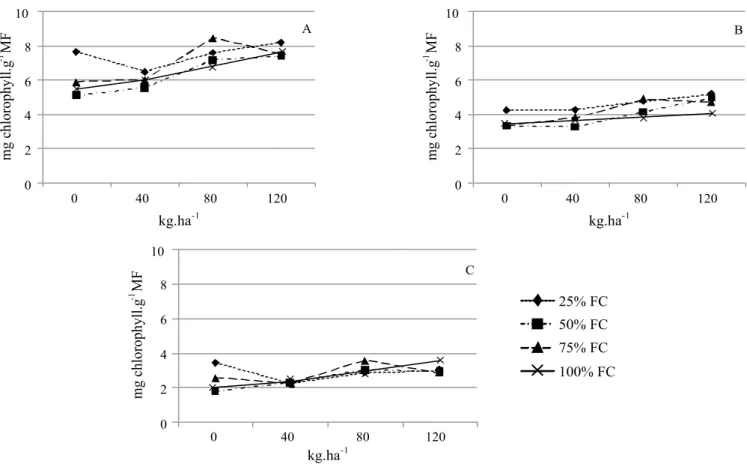 Figure 1 - Total chlorophyll (A) and chlorophylls a (B) and b (C) in the leaves of Arachis pintoi cv