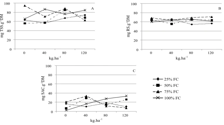 Figure 2 - Total soluble sugars (TSS; A),  reducing sugars (RS; B) and saccharose (SAC; C) in the leaves of Arachis pintoi cv