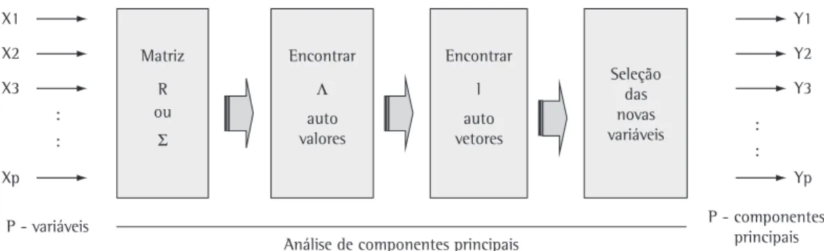 Figura 1. Esquema da aplicação da análise de componentes principais. Fonte: Souza (2000, p