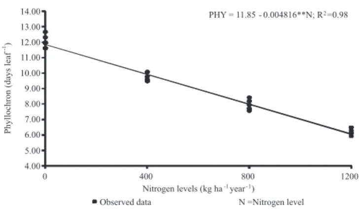 Figure 8 - Phyllochron according to nitrogen levels in Panicum  maximum  ×  Panicum  infestum  var