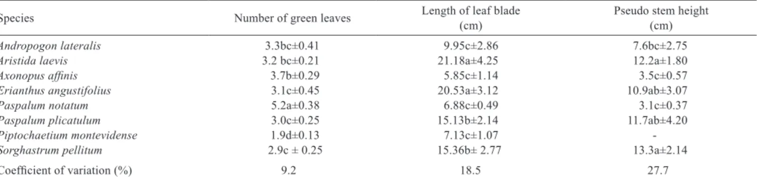 Table 4 - Number of green leaves, length of leaf blade and pseudo stem height of native forage grasses 