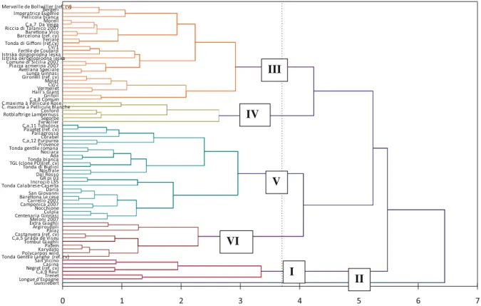 Fig. 1 UPGMA dendrogram derived from Euclidea Distances of similarity showing the relationship among 75 hazelnut accessions on the bases of the 3 PCs axes elaborated by PCA from the kernel composition