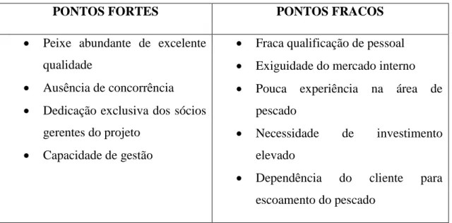Tabela 4 - Análise SWOT 