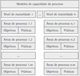 Figura 1. Estrutura esquemática de modelos de capacidade  de processo.