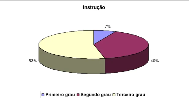 Gráfico 5. Distribuição quanto ao grau de instrução 