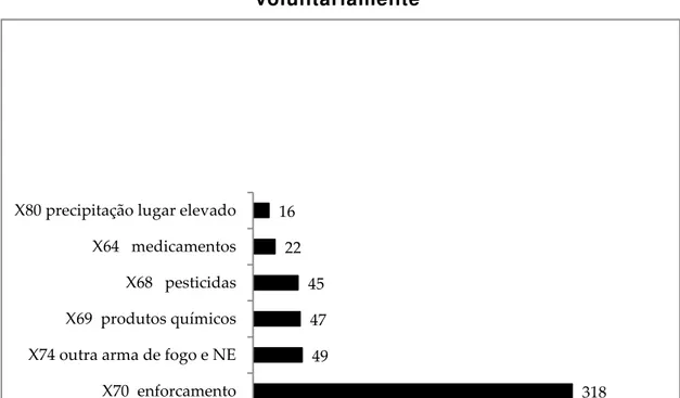 Gráfico 5 - Seis métodos mais empregados no suicídio  Município: Teresina. Período: 2001-2010 