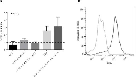 Figure  III.6-  A)  Fold  increase  for  the  MFI  of  SNA  to  each  condition  comparatively  to  Ut