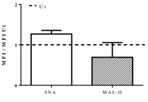 Figure III.7- Fold increase of Sial comparatively to Ut in the MFI of SNA and MAL-II, obtained within CD11c  positive cells, by Flow Cytometry