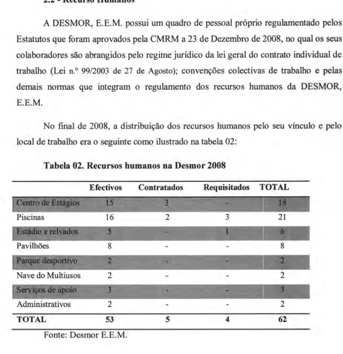 Tabela  02.  Recursos humanos  na  l)esmor  2008