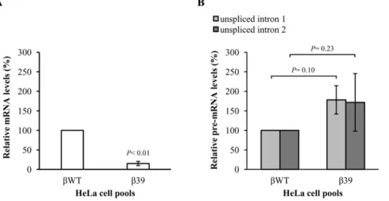 Figure 8. The structures of the reporter mRNAs indicate that the corresponding transcripts are normally spliced