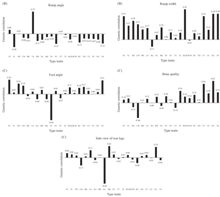 Figure 3 - Genetic correlations between traits of sections rump (B) and legs and feet (C) with other type traits, plus the ﬁnal score.