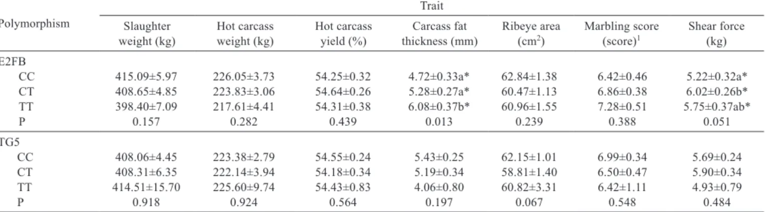 Table 4 - Means and standard deviations of phenotypic traits analyzed for the genotypes of polymorphisms E2FB (AY138588.1:c.305C>T)  in the LEP gene, and TG5 (X05380.1:g.-422C>T) in the TG gene