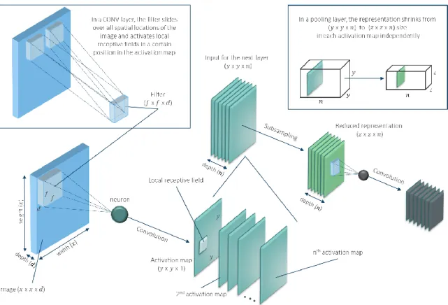 Figure 3.9 Convolution and pooling in CNN 