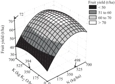 FIGURE 1 - Effect of N and K application on ‘Smooth Cayenne’ pineapple fruit yield. The marked values predict maximum fruit yield.