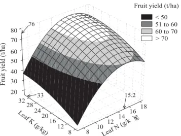 FIGURE 5 - Effect of K application on vitamin C contents of ‘Smooth Cayenne’ pineapple 