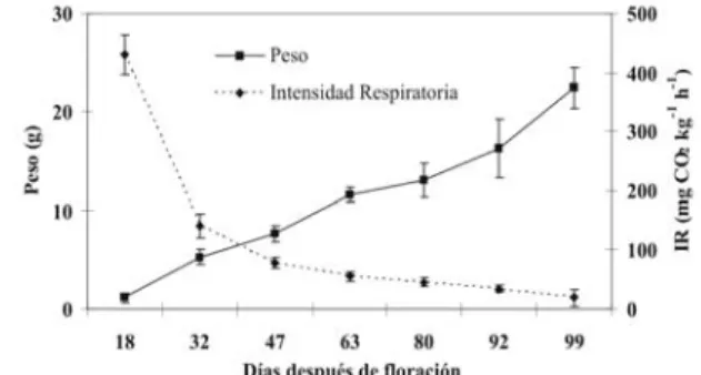 FIGURA 2 - Medias de las dimensiones durante el crecimiento desde floración y hasta la cosecha, de la ciruela variedad Horvin.