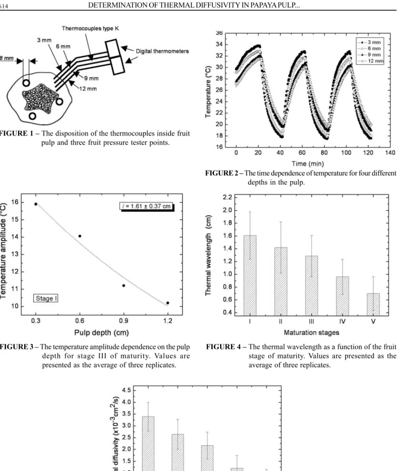 FIGURE 1 – The disposition of the thermocouples inside fruit pulp and three fruit pressure tester points.