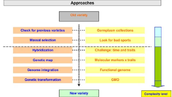 FIGURE 1 - General approaches for citrus breeding programs. 