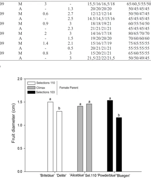 FIGURE 1 – Average diameter of fruit from different crosses. Embrapa Clima Temperado.