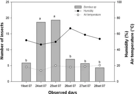 FIGURE 4 – Average number of Bombus sp. Observed on blueberry plants in the day periods morning and  afternoon, days of evaluation and average daily temperature and relative humidity