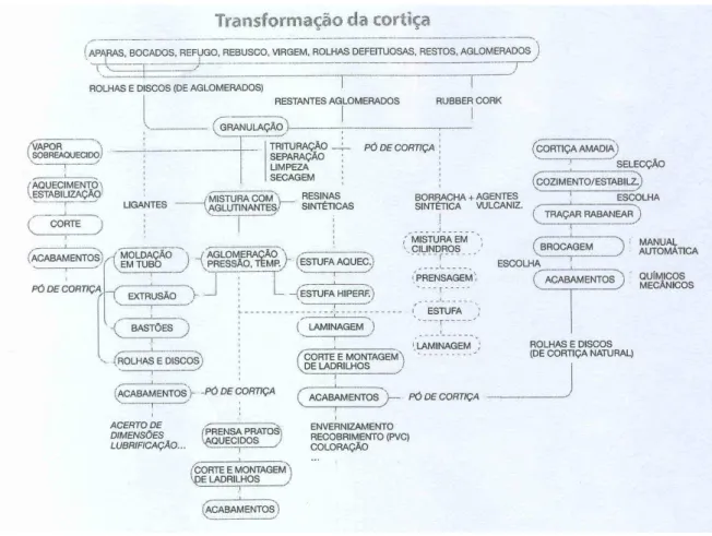 Figura 7 – Transformação da cortiça 