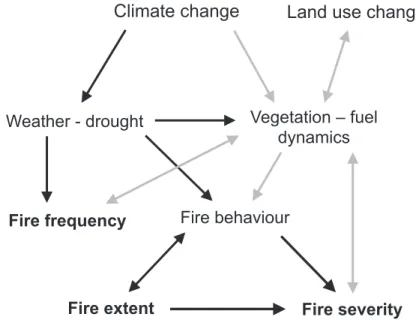 Fig.    2.    Global    change    effects    on    the    main    fire    regime    elements    in    systems    dominated    by        anthropogenic   ignition