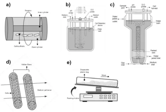 Figure  1.3  Examples  of  different  bioreactor  systems  used  in  cell  culture:  a)  rotating  wall  vessel;  b)  stirred-tank bioreactor (STBR); c) airflow bioreactor (adapted from [125]); d) hollow fiber bioreactor (adapted  from [122]) and e) wave b