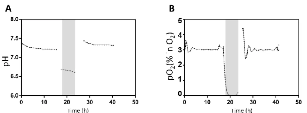 Figure 4.1 pO 2  and pH time-profiles throughout the I/R assay in bioreactors. (B) pH values in the culture  medium and (B) pO 2  percentage over time