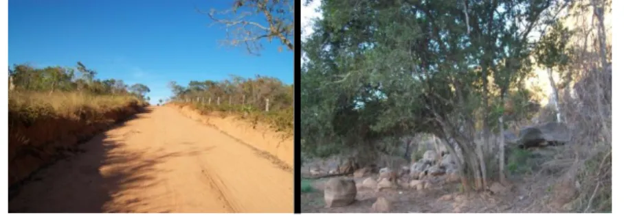 Foto  7a  –   Estrada  de  areia  (caminho  da  escola)    e  7b  –   Brejo  inundado  e  serra  (caminho da escola) 