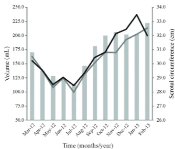 Figure  3  -  The  averages  of  the  volume  (mL)  and  semen  concentration (sperms/mL) of male Alpine goats in  highland tropical climate conditions.