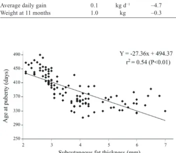 Figure 1 - Association of fat thickness (FAT) and age at puberty  (AP) in crossbred beef heifers.