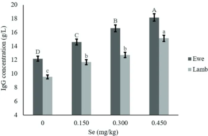 Figure 4 - Effect of organic selenium supplementation on serum  IgG concentration (LSmean ± SEM) of newborn lambs  and ewes.