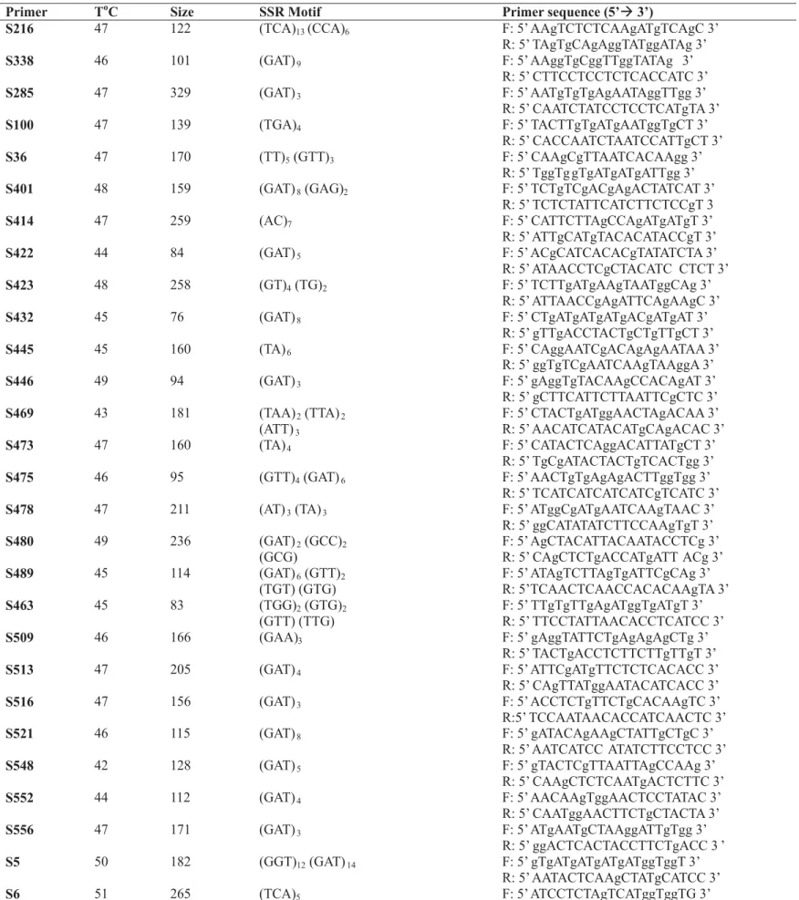 TABLE 2 – Primers designed from the sequences flanking the microsatellite regions of Carica papaya cv