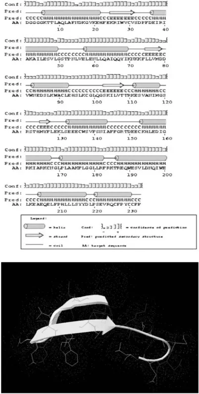 FIGURE 3 - Phylogenic tree based on alignment of amino acid sequences of RGAs from Carica papaya (bankit558486),  Vitis vinifera (AAM21291), Oryza sativa (BAC45162), Hordeum vulgare (AAQ16121), Glycine max (AAL50031), Solanum bulbocastanum (AAP45165), Arab