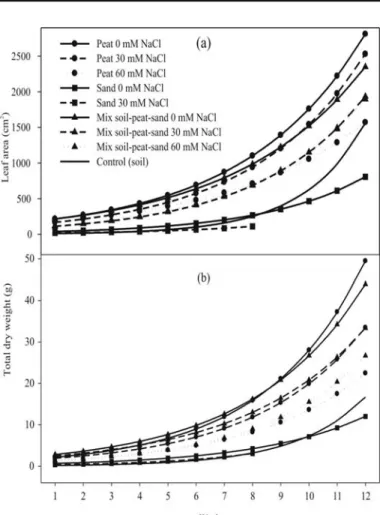 FIGURA 3 - Effects of the substrate (peat, sand or a mixture of soil, peat and sand 3:1:1 (w/w)) and salinity (0, 30, or 60 mM NaCl) on the shoot: root ratio of lulo plants.