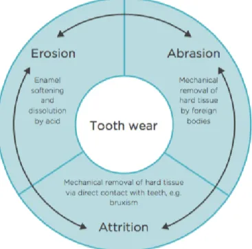 Figura 2 – Componentes do desgaste dentário erosivo (falta referência) 