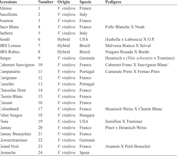 TABLE 1 -  Wine grape cultivars, origin and specie evaluated in this work.