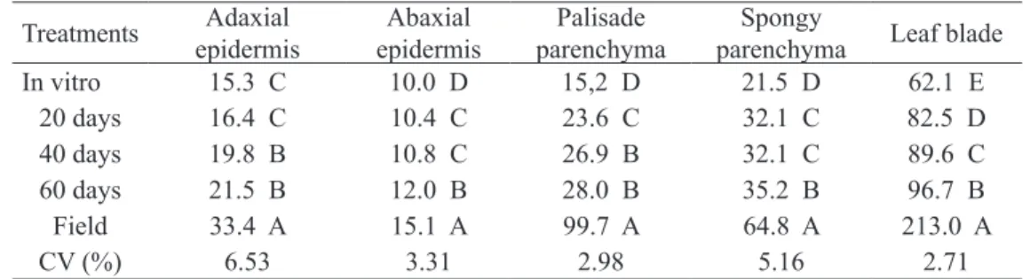 TABLE 2 - Mean thickness (µm) of epidermal tissues, palisade and spongy parenchyma   and leaf blade  of naturally grown plants and in vitro developed plantlets after 20, 40 and 60 days of  accli-matization