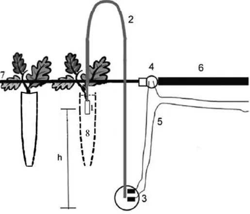 FIGURE 1 -  Set up and operation of the irrigation controller. Source: adapted from Medici et al