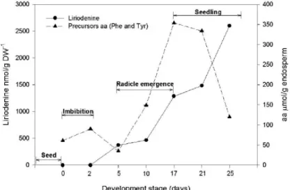 FIGURE 6 - Metabolic relation between reserve mobilization and the liriodenine alkaloid biosynthesis in  early development Annona diversifolia Safford.