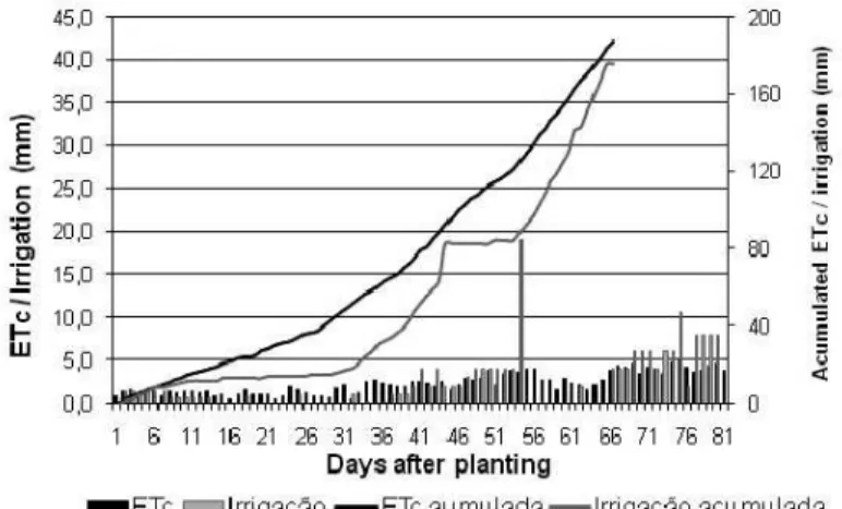 TABLE 1-  Soil granulometric composition of both soils: bulk density (Ds), sand, silt, clay and textural  classification – Piracicaba, SP, 2005.