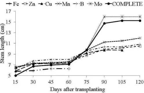 FIGURE  3 - Stem  diameter  (mm)  of  Hancornia speciosa Gomes plants, as a function of days after  transplanting for the solution with the omission of micronutrients and nutrient solution.