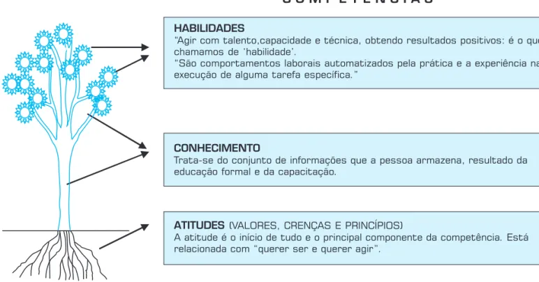 Figura 1: Desdobramento das competências.