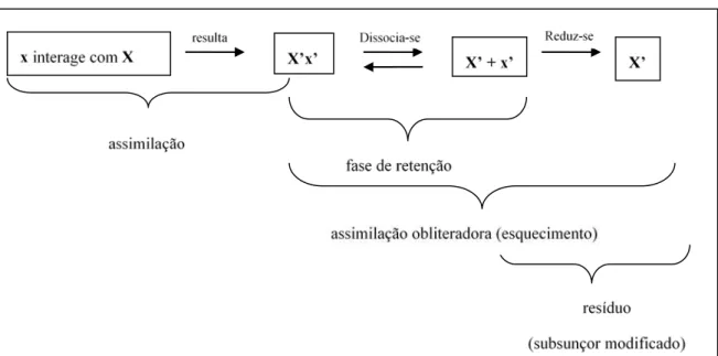 Figura 6 - Processo de assimilação 